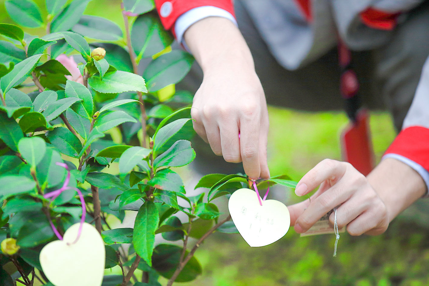 IMG_9372.jpg IMG_9372.jpg