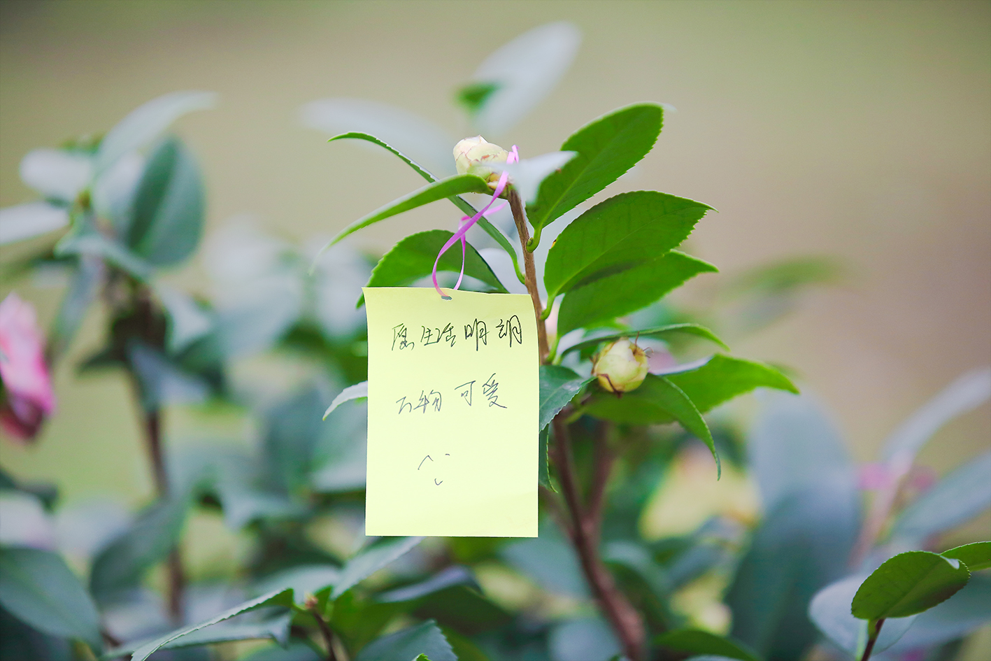 IMG_9428.jpg IMG_9428.jpg