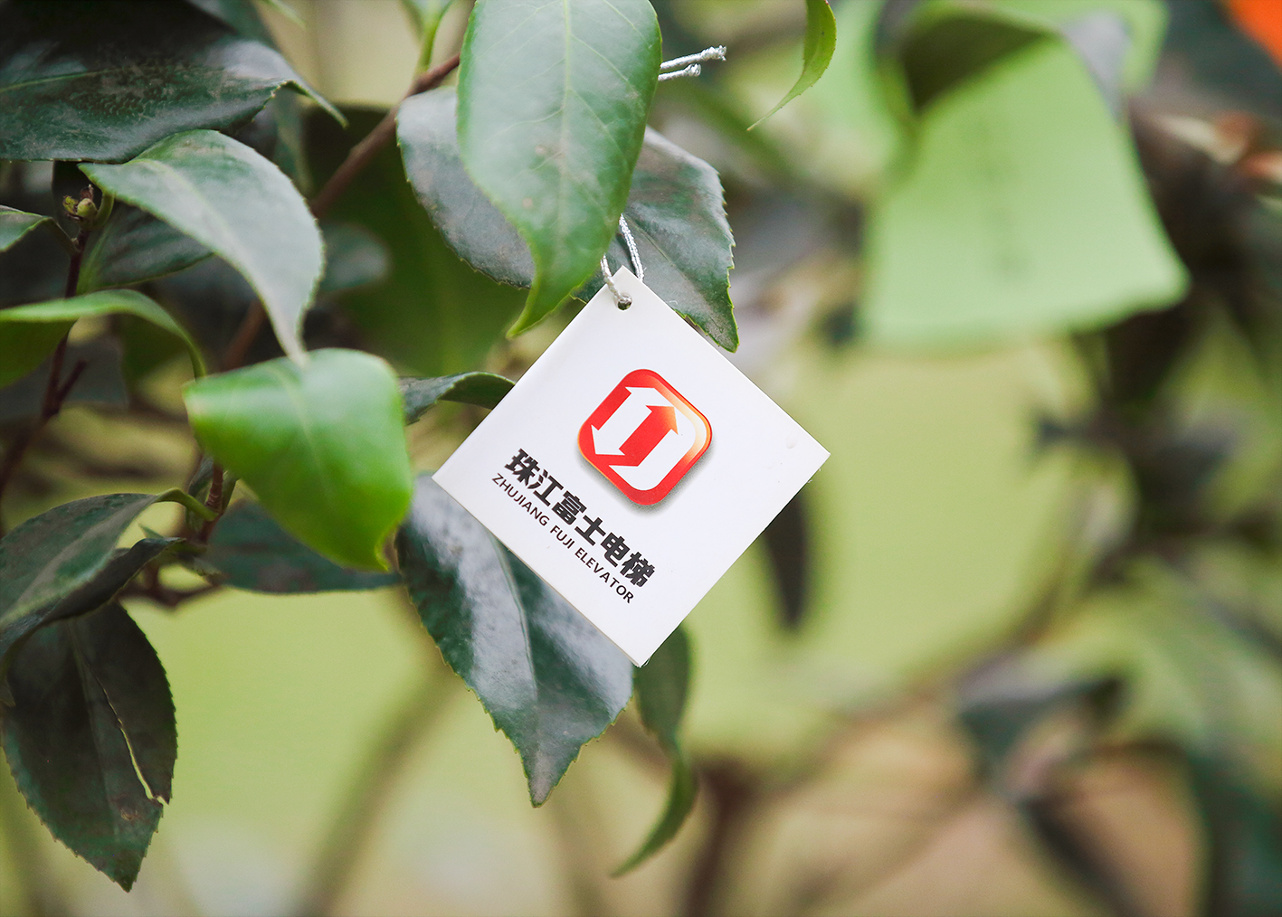 IMG_9377.jpg IMG_9377.jpg